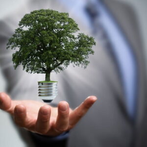 Environmental Management