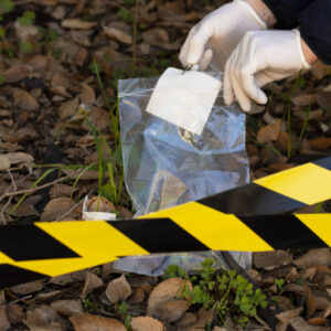 Crime Analysis