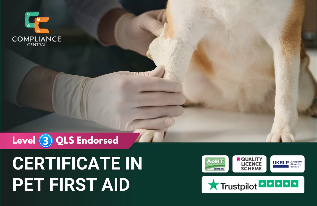 Promotional banner for the “Certificate in Pet First Aid” course by Compliance Central, showing a person wearing gloves gently wrapping a bandage around a dog’s front leg. The banner highlights “Level 3 QLS Endorsed” and includes accreditation logos: AoHT Member, Quality Licence Scheme, UKRLP, and Trustpilot rating - emphasizing certified training in emergency care for pets.