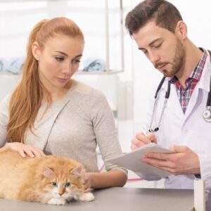 Cat Behavior Rectification & Cat Health Care