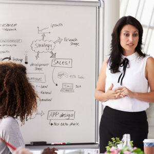 Sales Program Manager