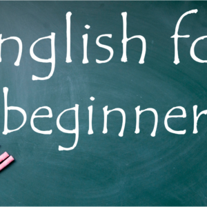 Basics of English for Beginners