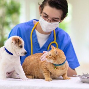 Veterinary Nursing