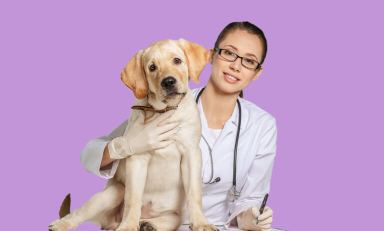 Veterinary Nursing