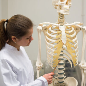 Forensic Anthropology