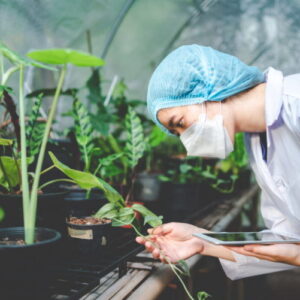 Botany