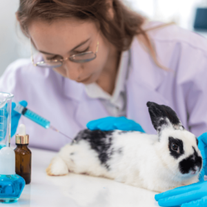 Animal Scientist