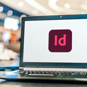 Adobe Design Bundle Course (illustrator and InDesign)