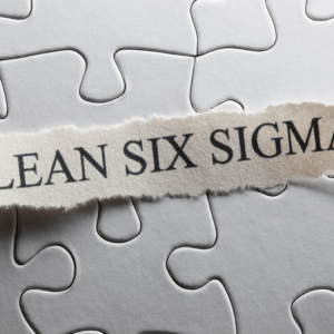 Lean Six Sigma Green Belt for Service Industry