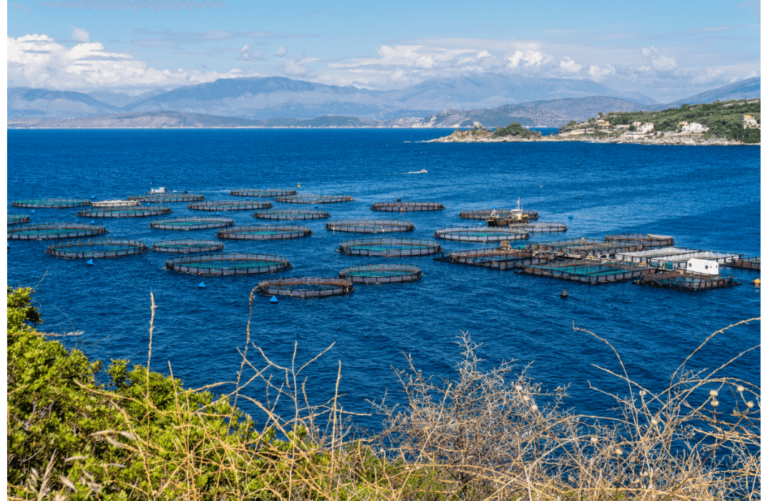 Aquaculture and Fisheries Management