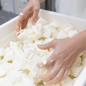 Cheese Making