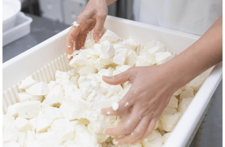 Cheese Making