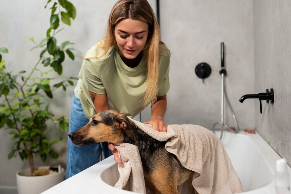 Dog Care and Grooming