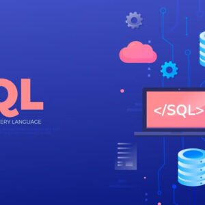 SQL Database Basics for Everyone